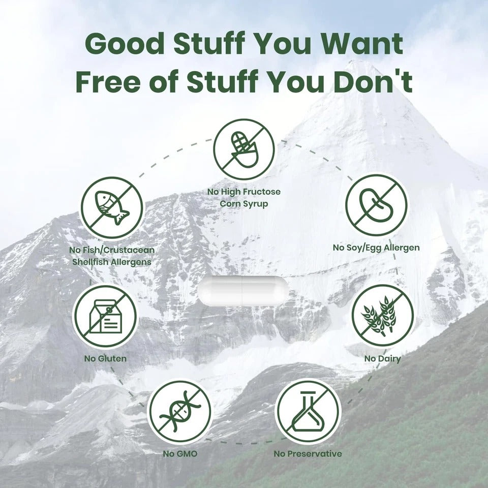 Flynew Shilajit Ultra Optimal Potency, Shilajit Extract with L-Arginine