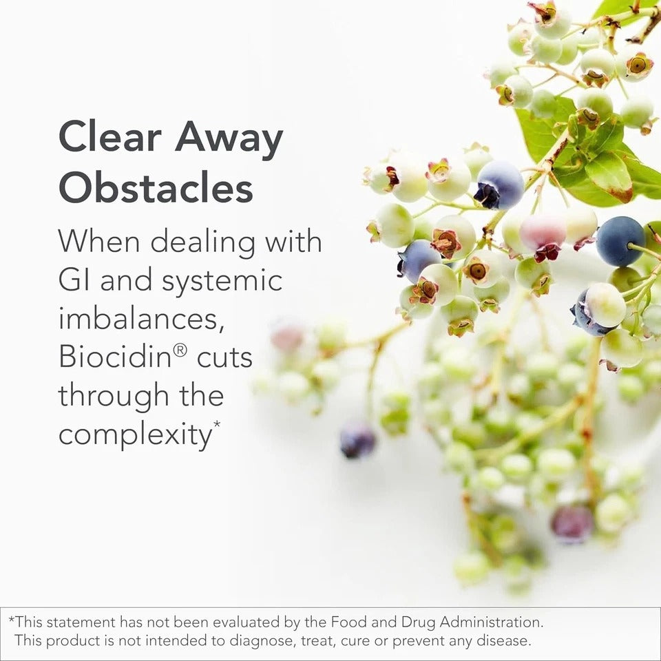 Biocidin 90 Capsules Gut Detox Cleanse Biofilm Support