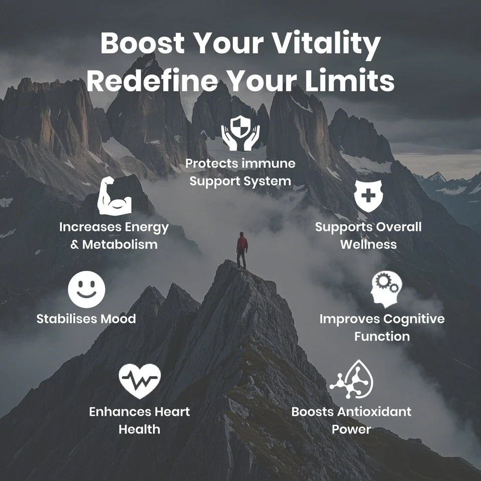 Flynew Shilajit Ultra Optimal Potency, Shilajit Extract with L-Arginine