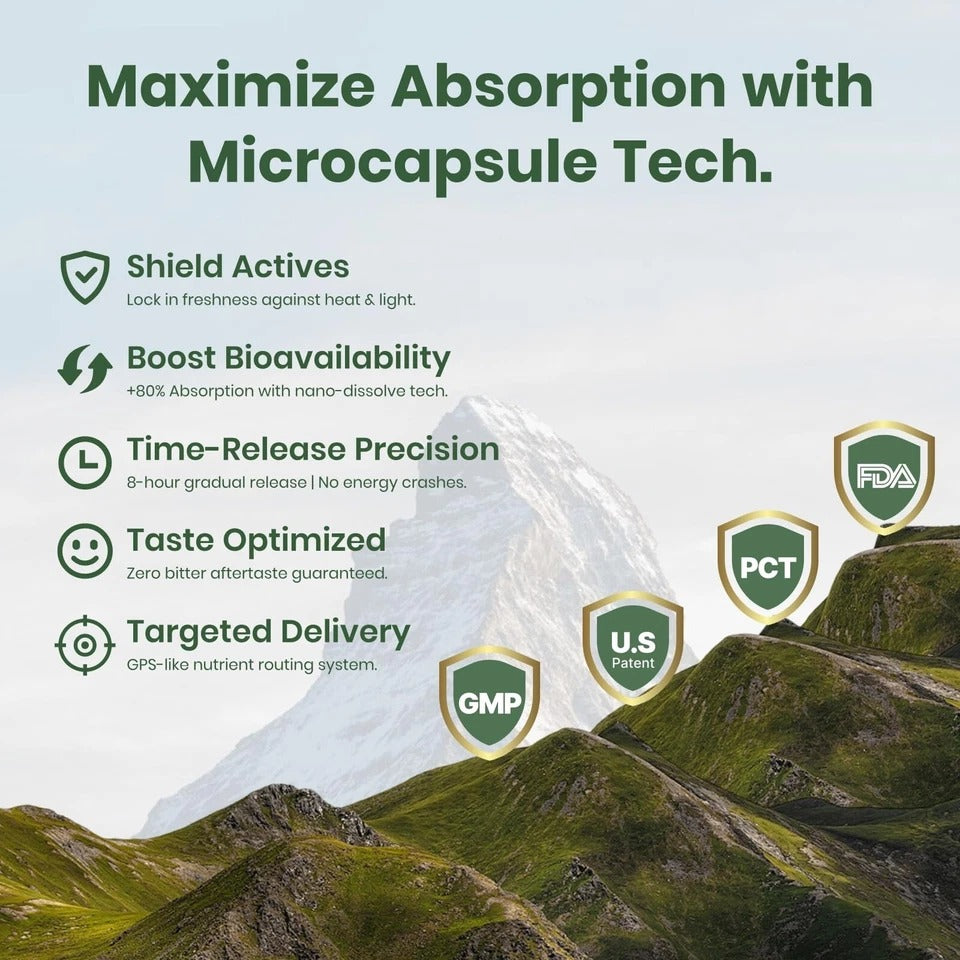 Flynew Shilajit Ultra Optimal Potency, Shilajit Extract with L-Arginine